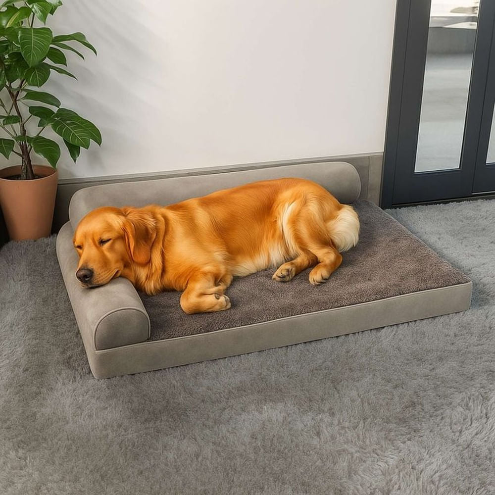 Cama para engreído — prueba